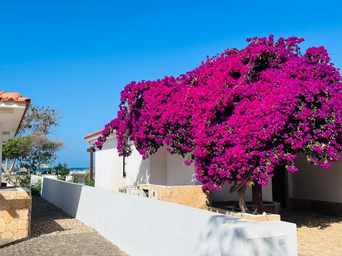 Villa With Privat Pool Near Beach Santa Maria Sal Kap Verde 外观 照片
