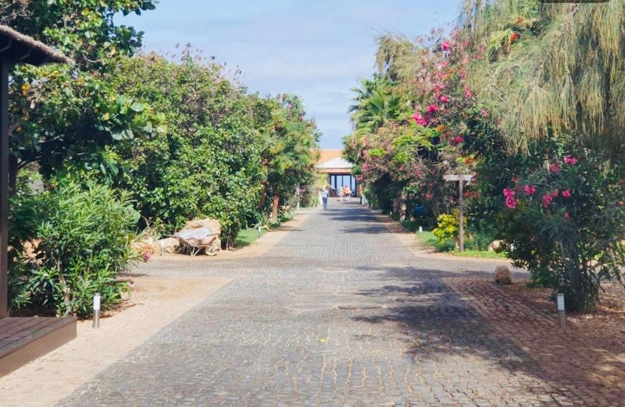 Villa With Privat Pool Near Beach Santa Maria Sal Kap Verde 外观 照片